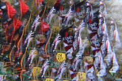 IMG_0028