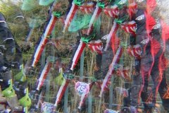 IMG_0029