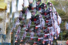 IMG_0032