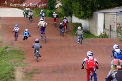 bicrossestrees7-09-1330sur238