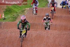 bicrossestrees7-09-1332sur238