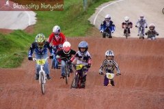 bicrossestrees7-09-1333sur238