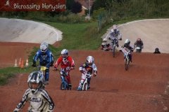 bicrossestrees7-09-135sur238