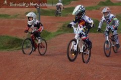 bicrossestrees7-09-137sur238