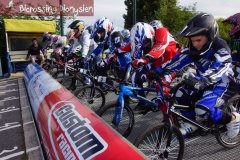 bicrossestrees7-09-1392sur238