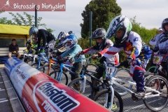 bicrossestrees7-09-1397sur238