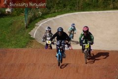 bicrossestrees7-09-1398sur238