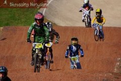 bicrossestrees7-09-1399sur238