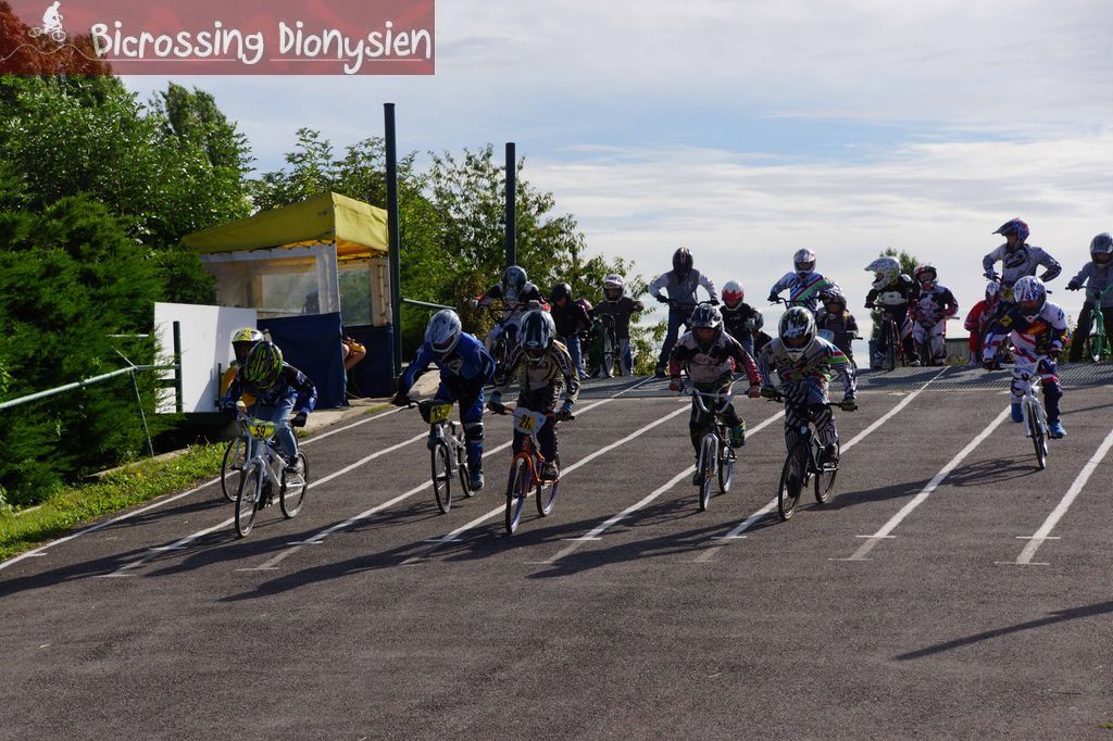 bicrossestrees7-09-13105sur238