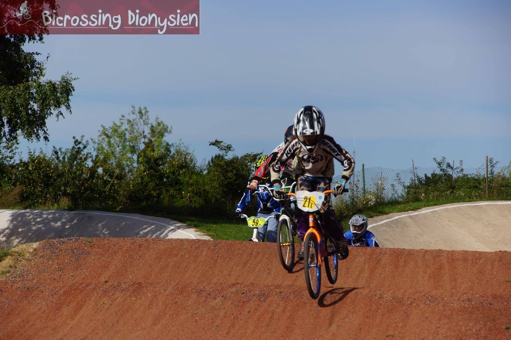 bicrossestrees7-09-13106sur238