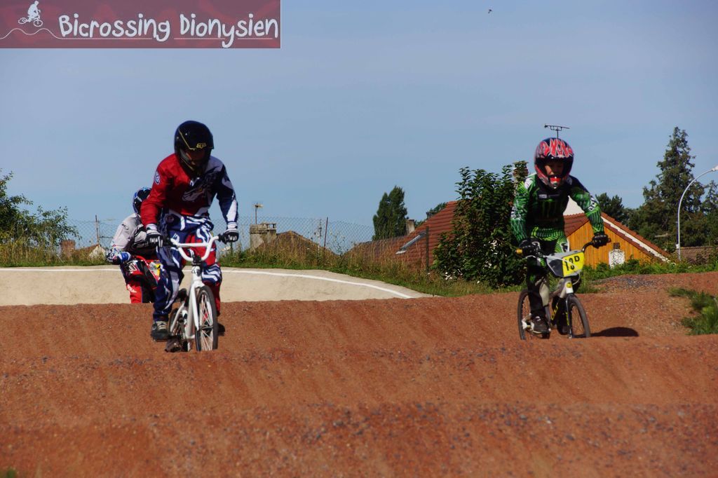 bicrossestrees7-09-13115sur238