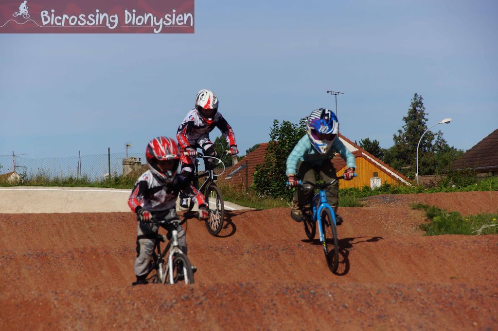 bicrossestrees7-09-13116sur238