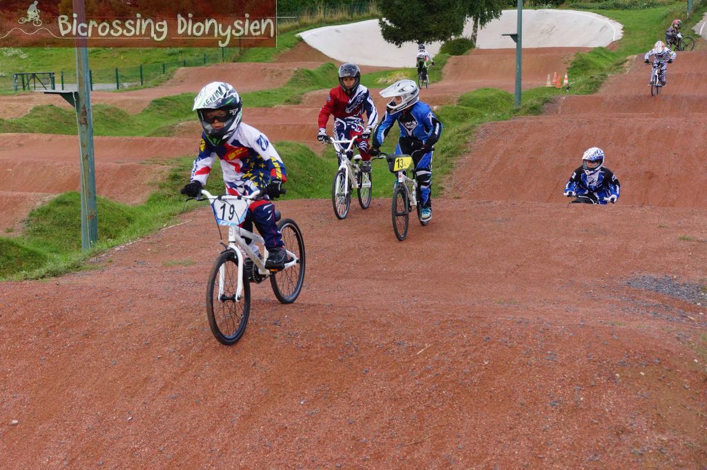 bicrossestrees7-09-1316sur238