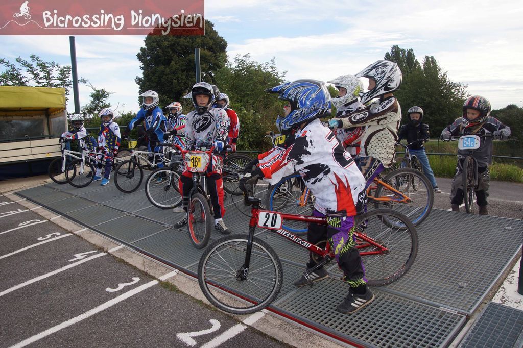 bicrossestrees7-09-131sur238