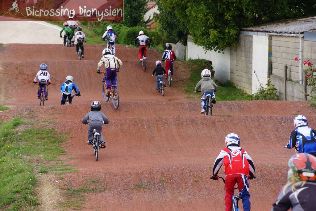 bicrossestrees7-09-1330sur238