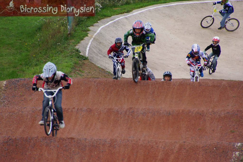 bicrossestrees7-09-1331sur238