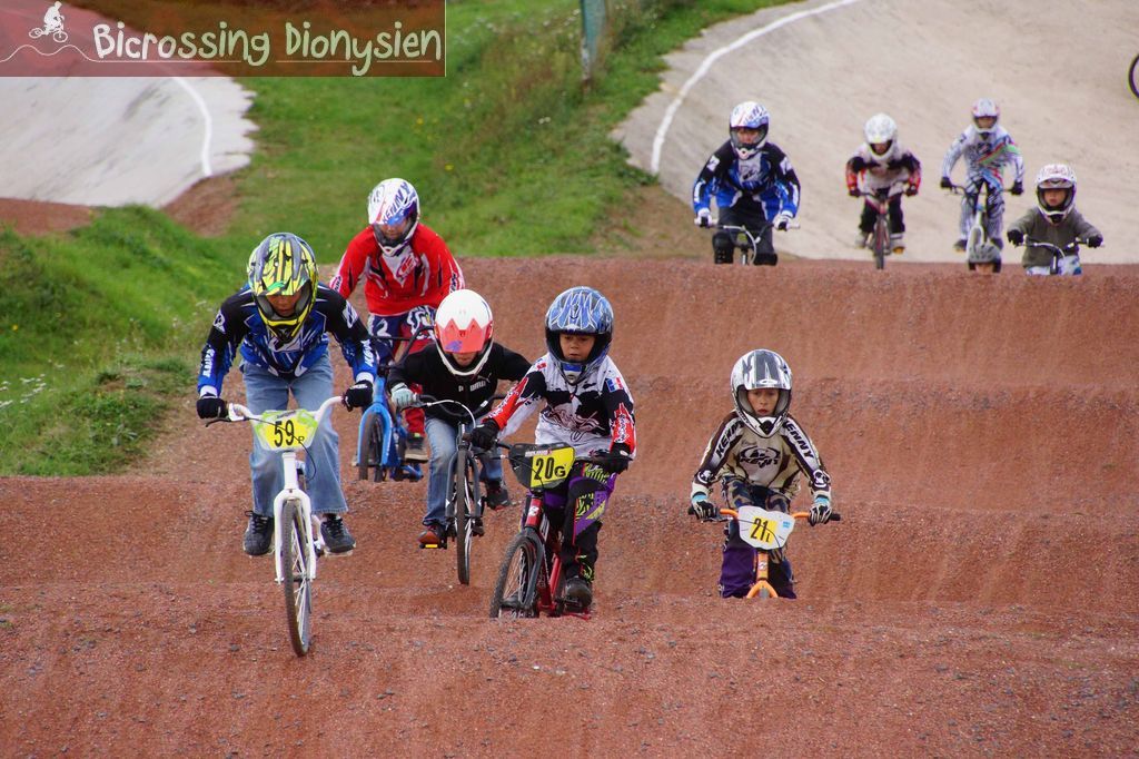 bicrossestrees7-09-1333sur238