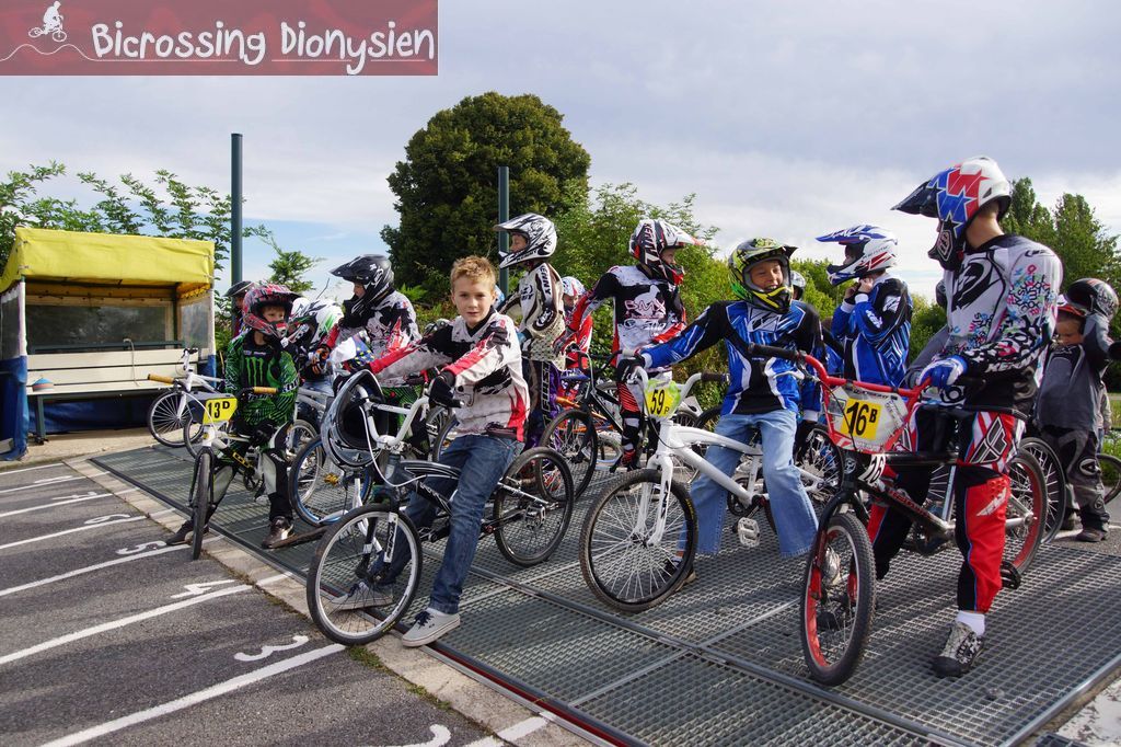 bicrossestrees7-09-1335sur238