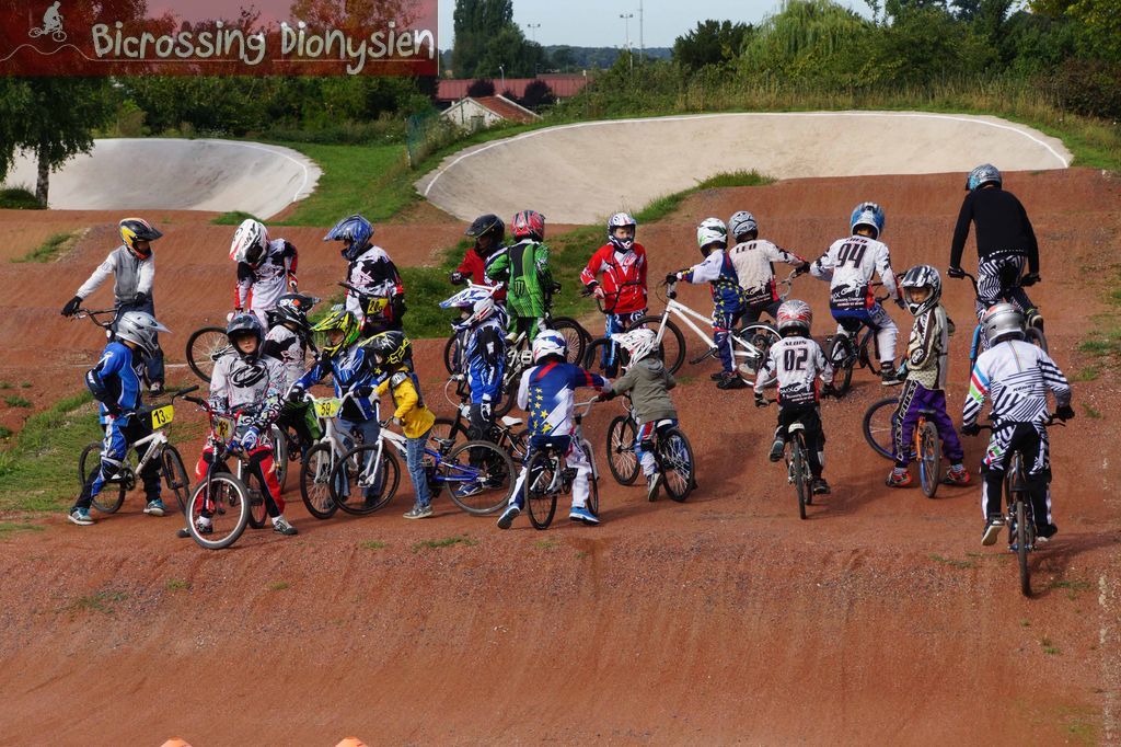 bicrossestrees7-09-1338sur238