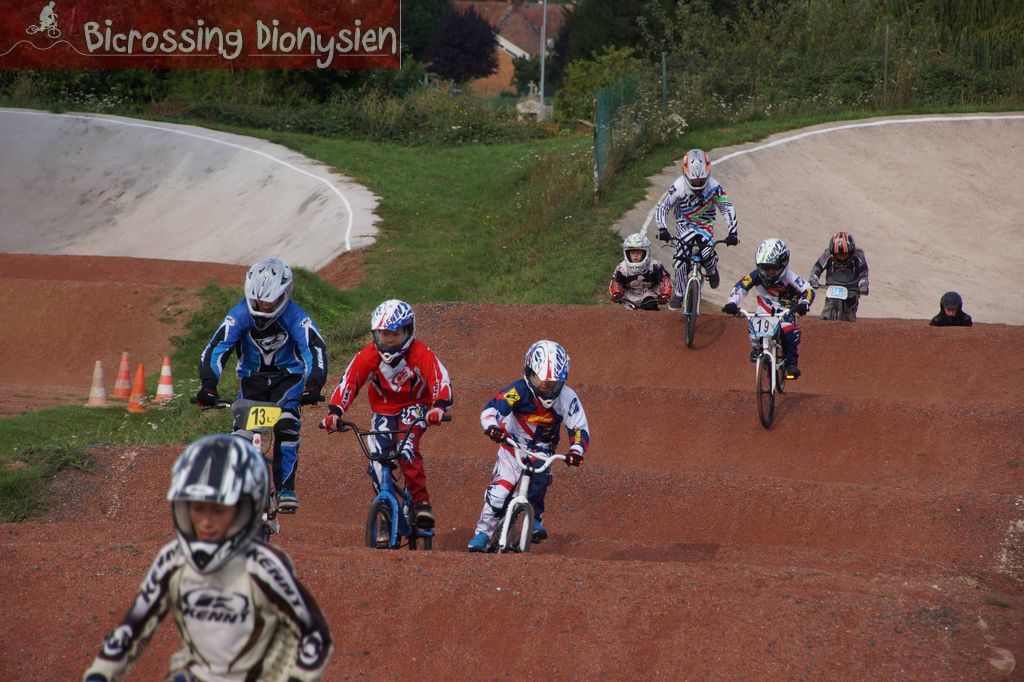 bicrossestrees7-09-135sur238